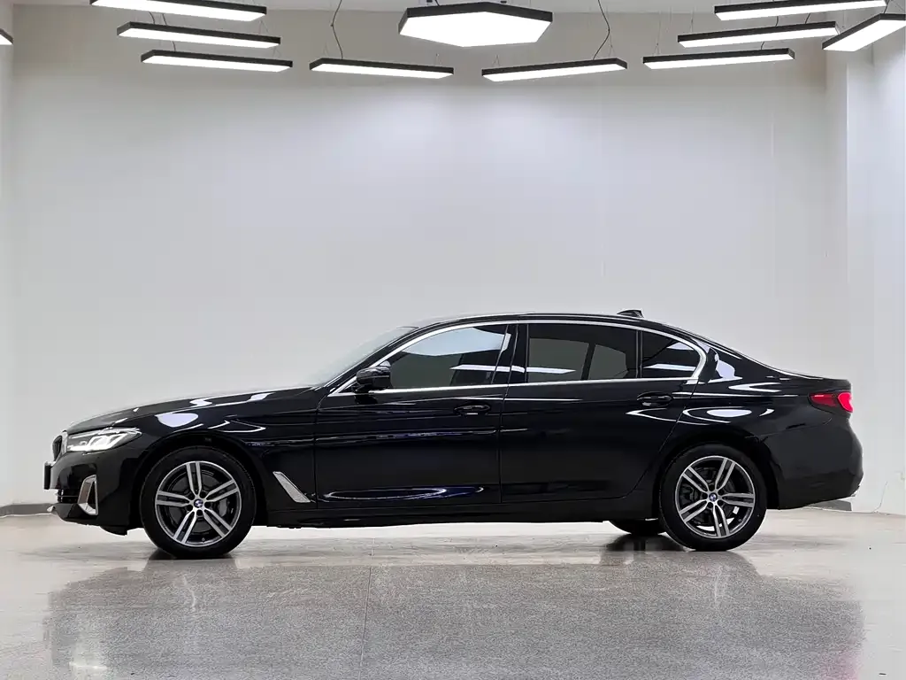 BMW 5 Series 2021 из CN, фото 3
