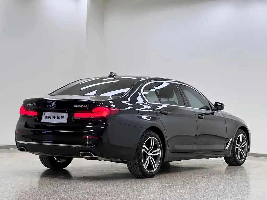 BMW 5 Series 2021 из CN, фото 8
