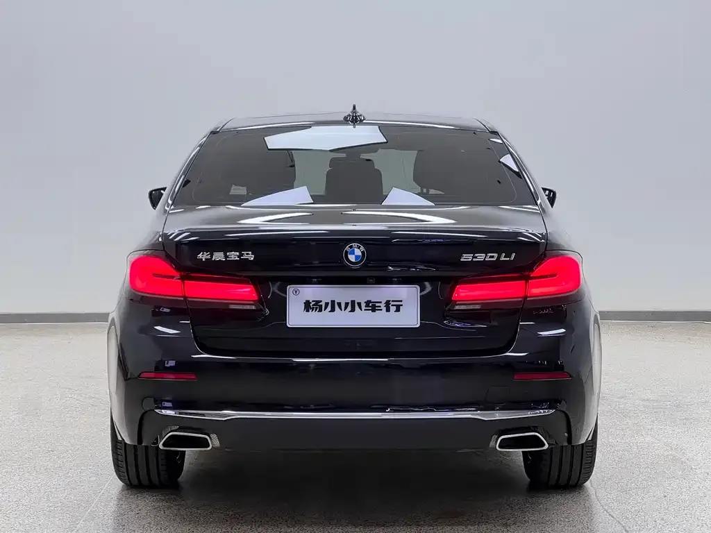 BMW 5 Series 2021 из CN, фото 5