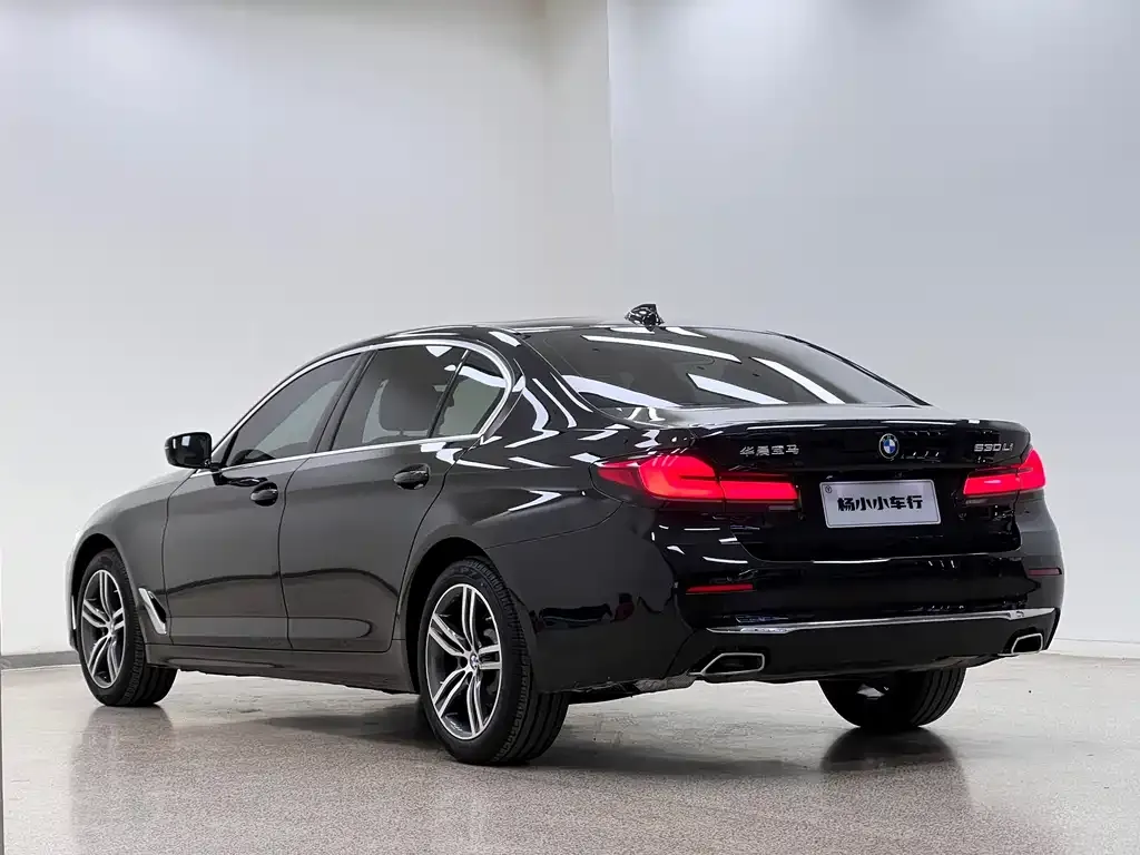 BMW 5 Series 2021 из CN, фото 10