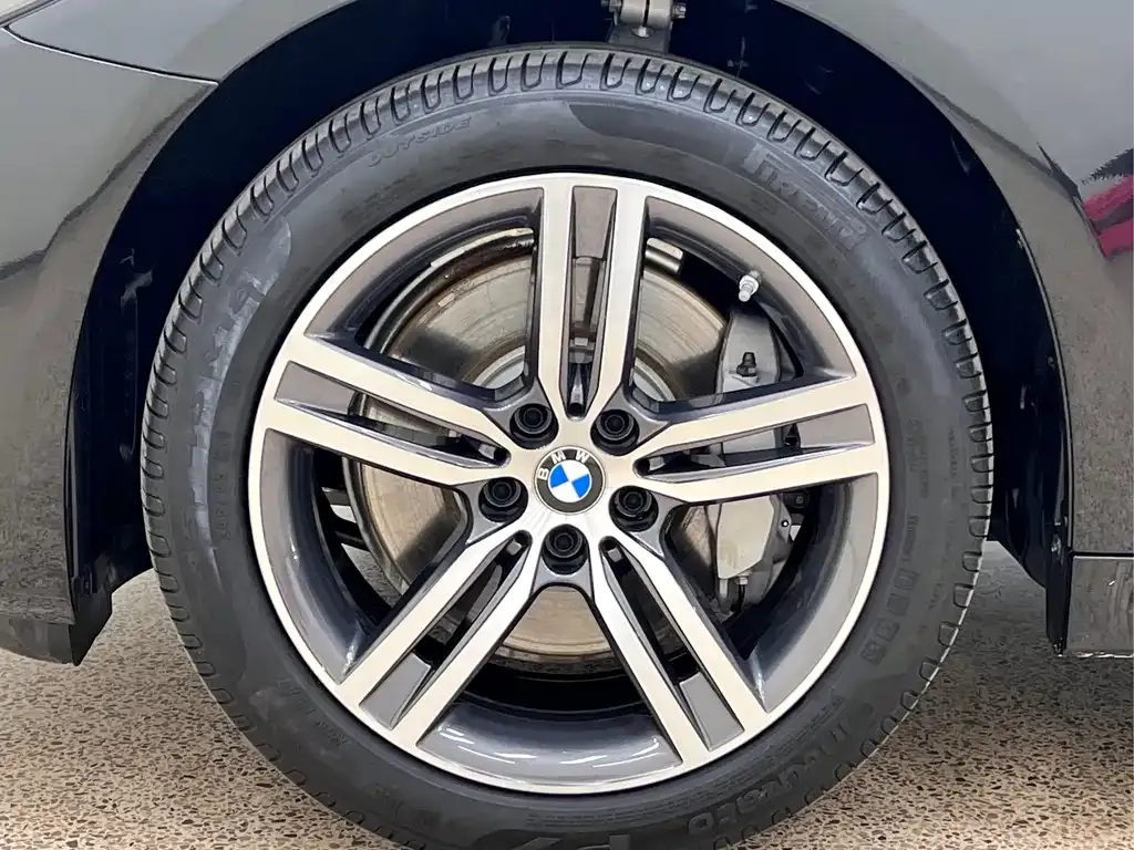 BMW 5 Series 2021 из CN, фото 9