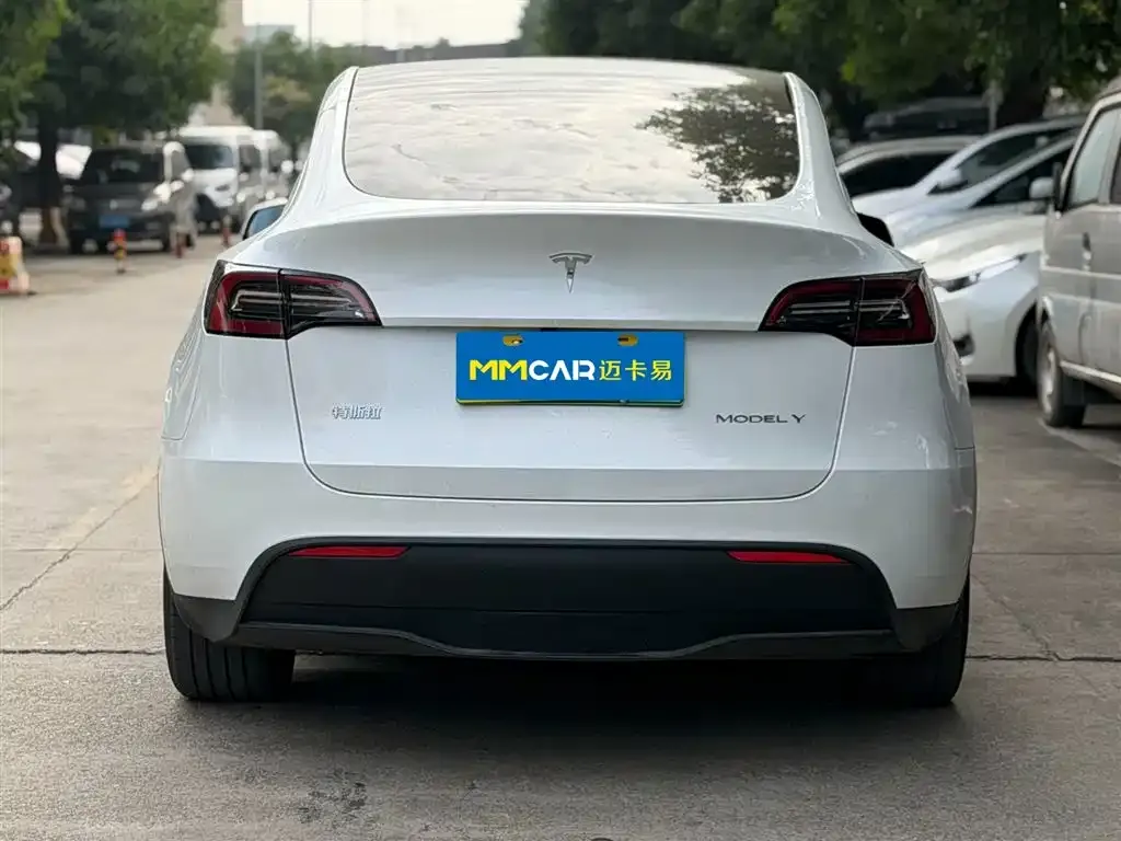 Tesla Model Y 2024 из CN, фото 6