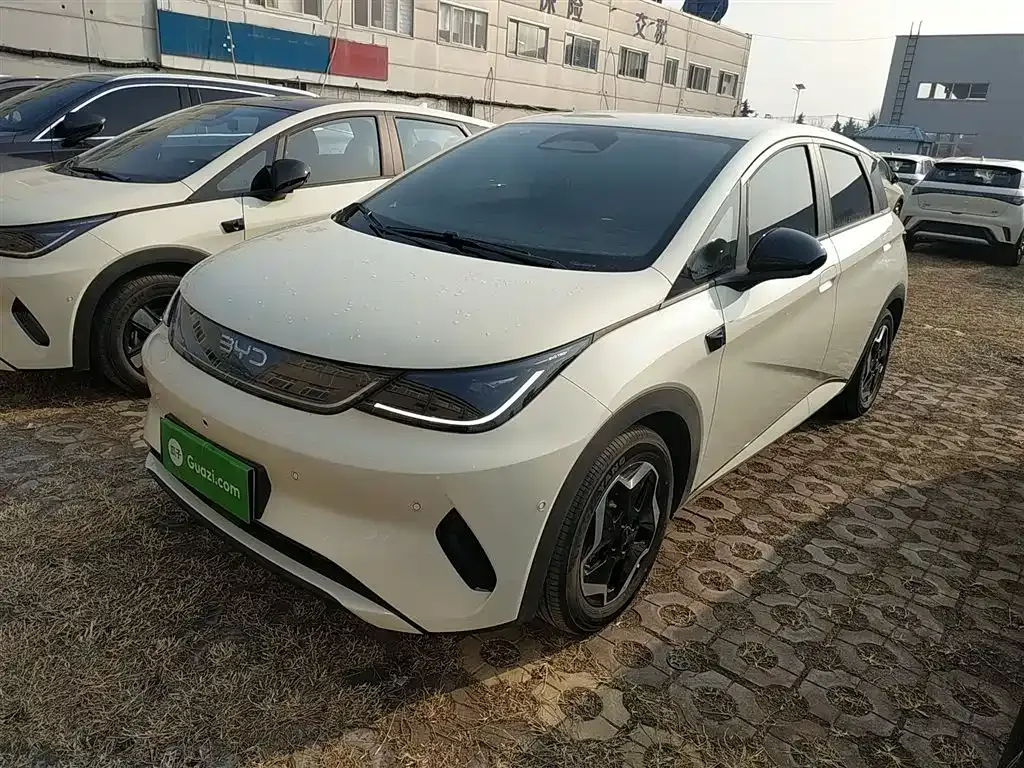 BYD Dolphin 2025 из CN, фото 1