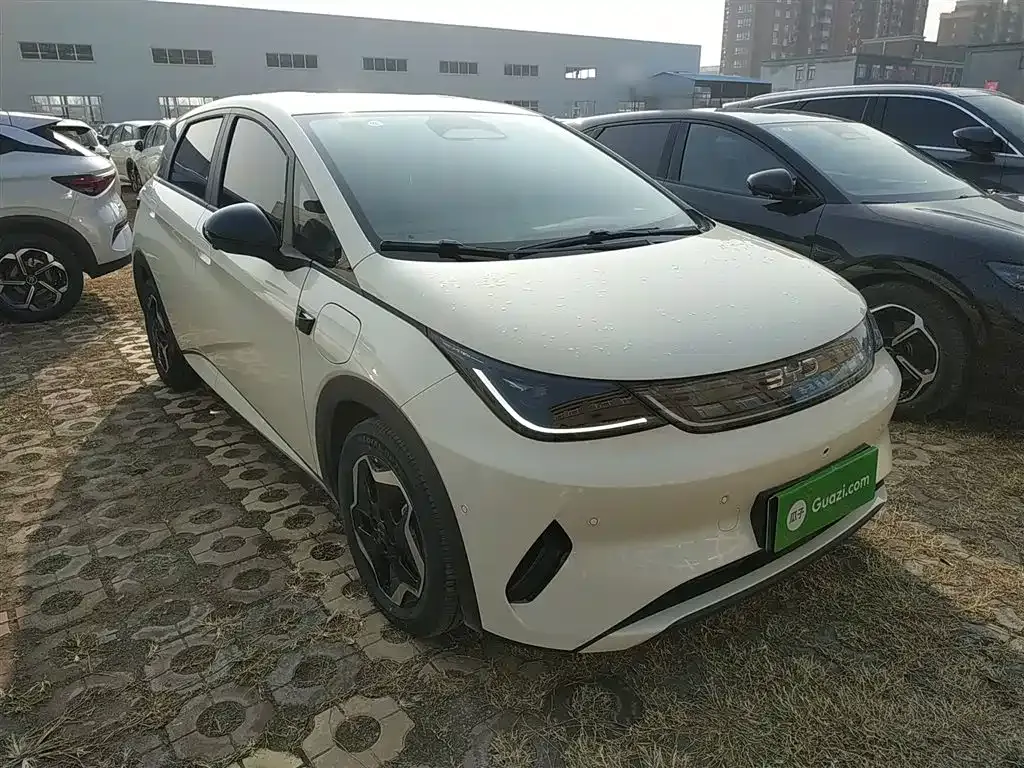 BYD Dolphin 2025 из CN, фото 6