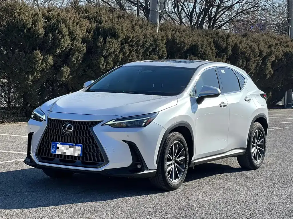 Lexus NX 2022 из CN, фото 1