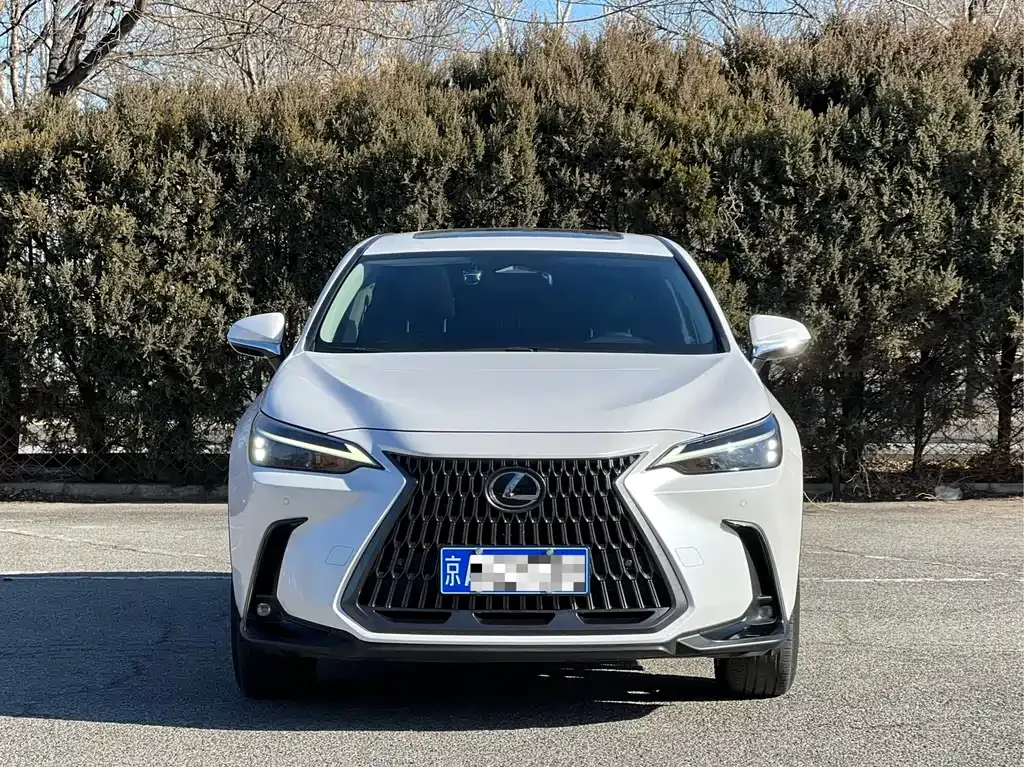Lexus NX 2022 из CN, фото 4