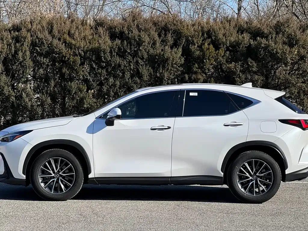 Lexus NX 2022 из CN, фото 6