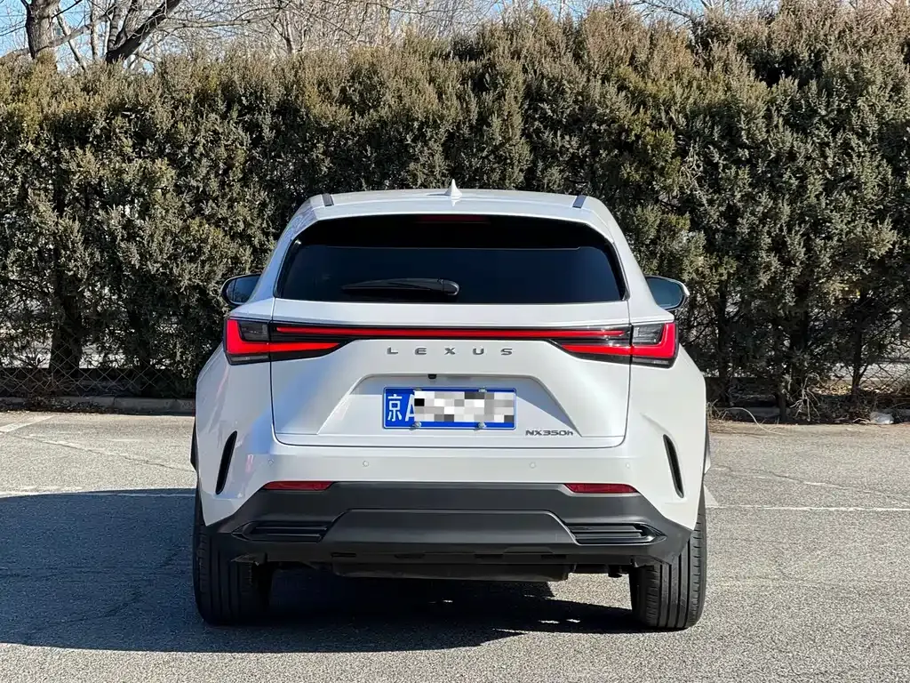Lexus NX 2022 из CN, фото 8