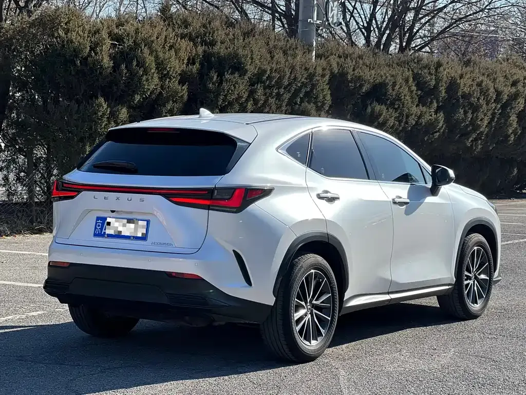 Lexus NX 2022 из CN, фото 10