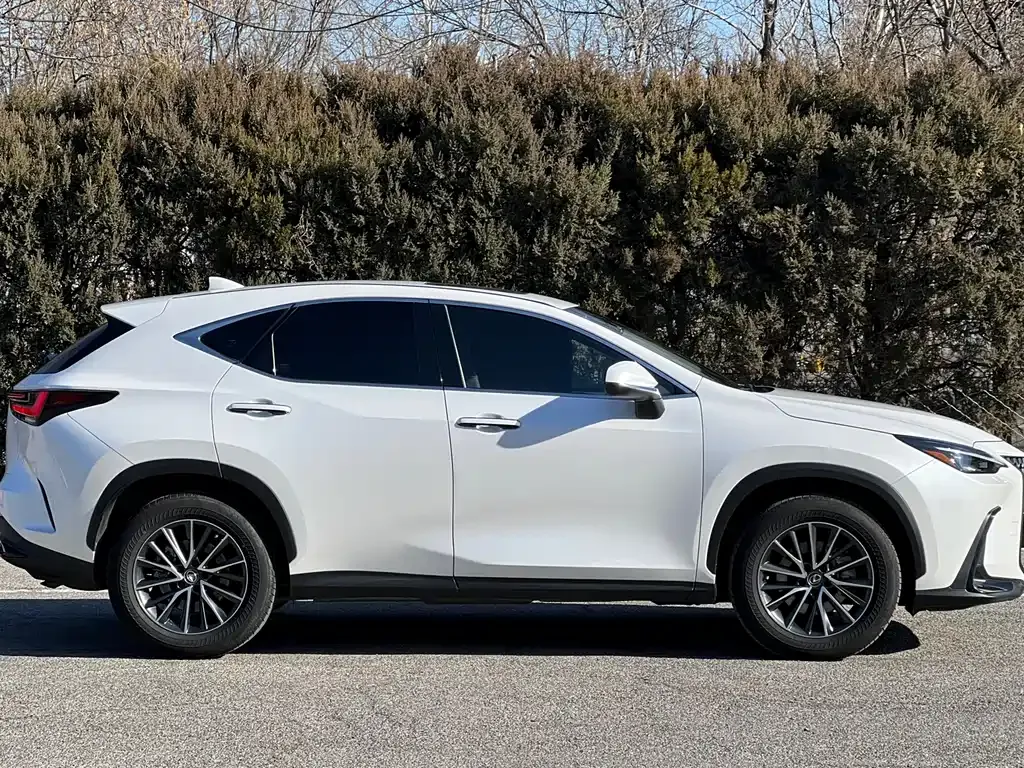 Lexus NX 2022 из CN, фото 7