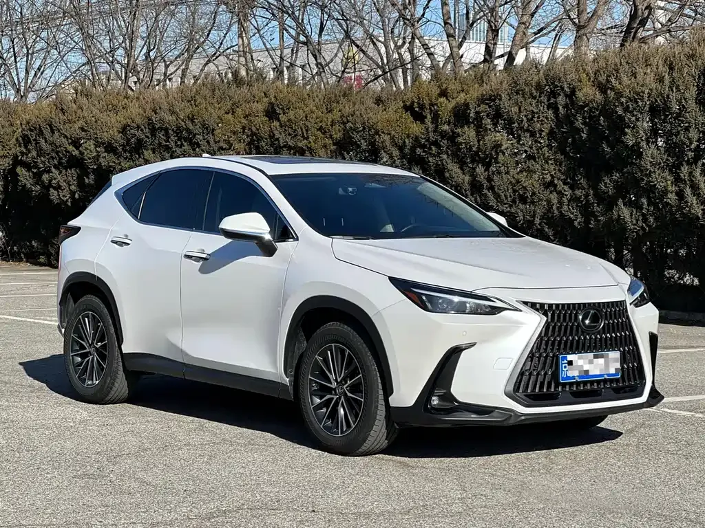 Lexus NX 2022 из CN, фото 9