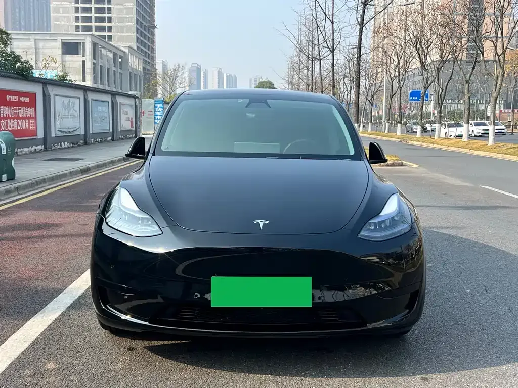 Tesla Model Y 2023 из CN, фото 2