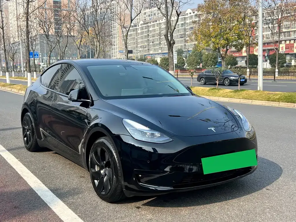 Tesla Model Y 2023 из CN, фото 3