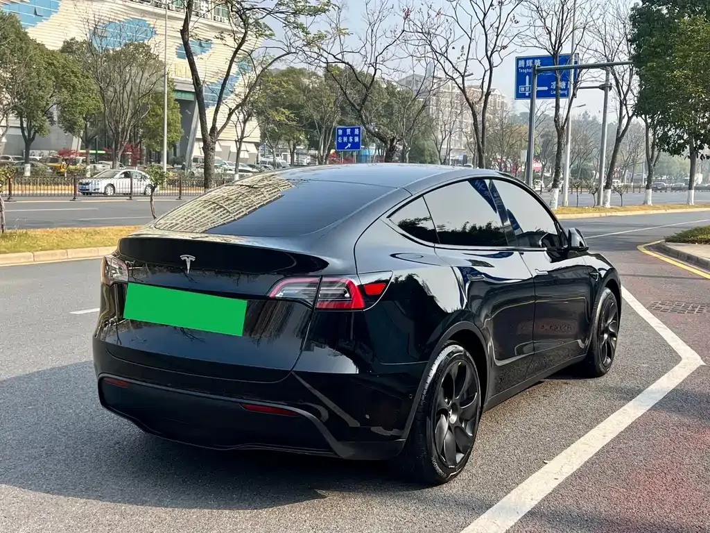 Tesla Model Y 2023 из CN, фото 8