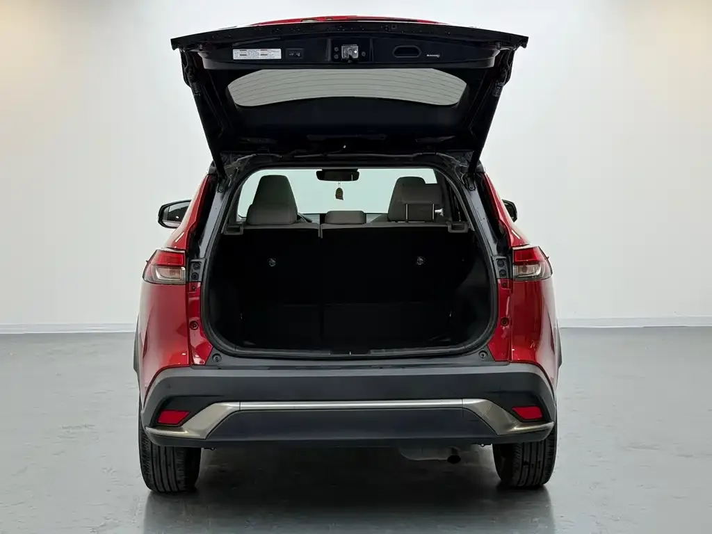 Toyota Frontlander 2023 из CN, фото 9