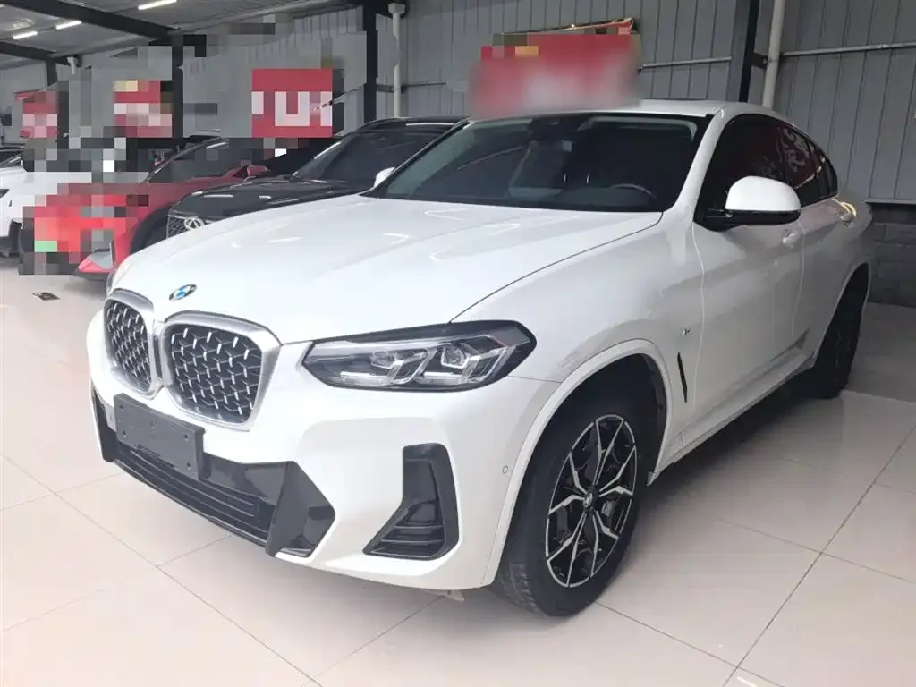 BMW X4 2022 из CN, фото 1