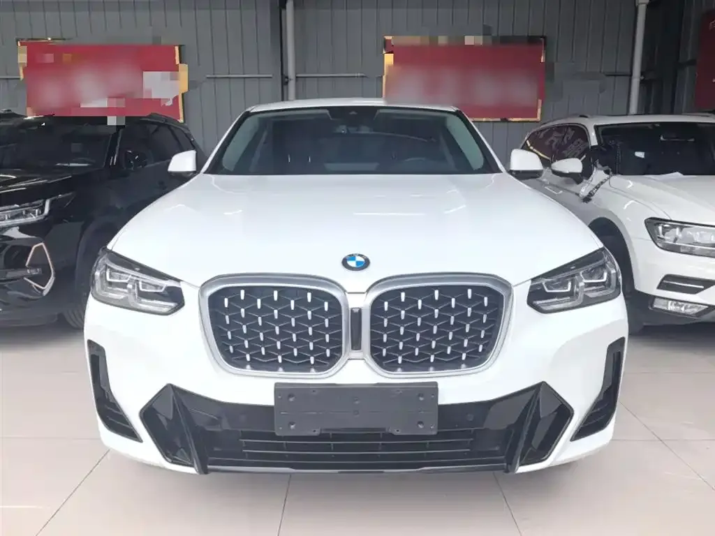 BMW X4 2022 из CN, фото 6