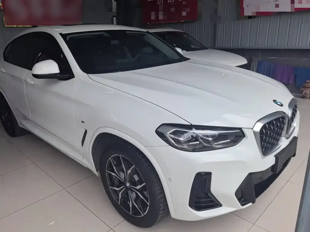 BMW X4 2022 из CN, фото 2