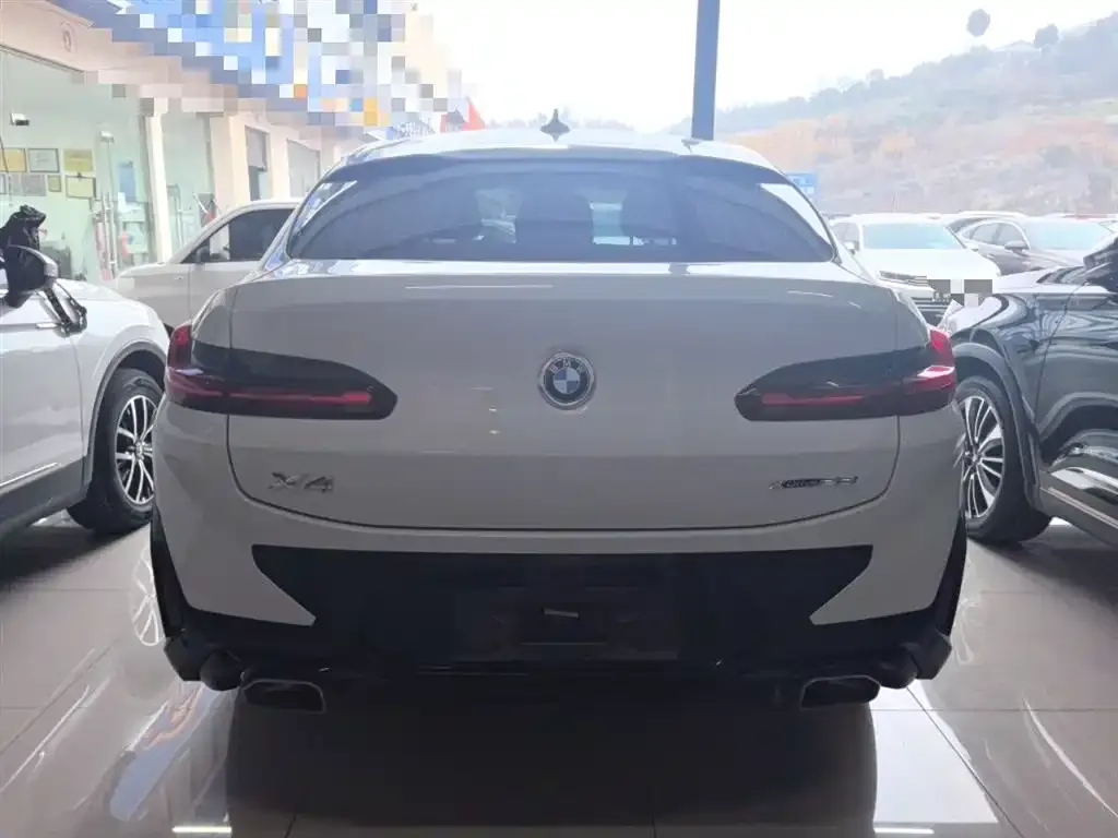 BMW X4 2022 из CN, фото 10