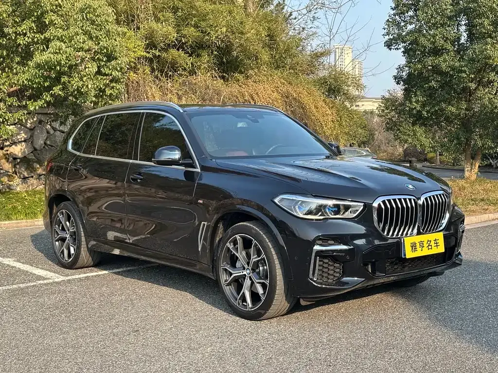 BMW X5 2023 из CN, фото 9