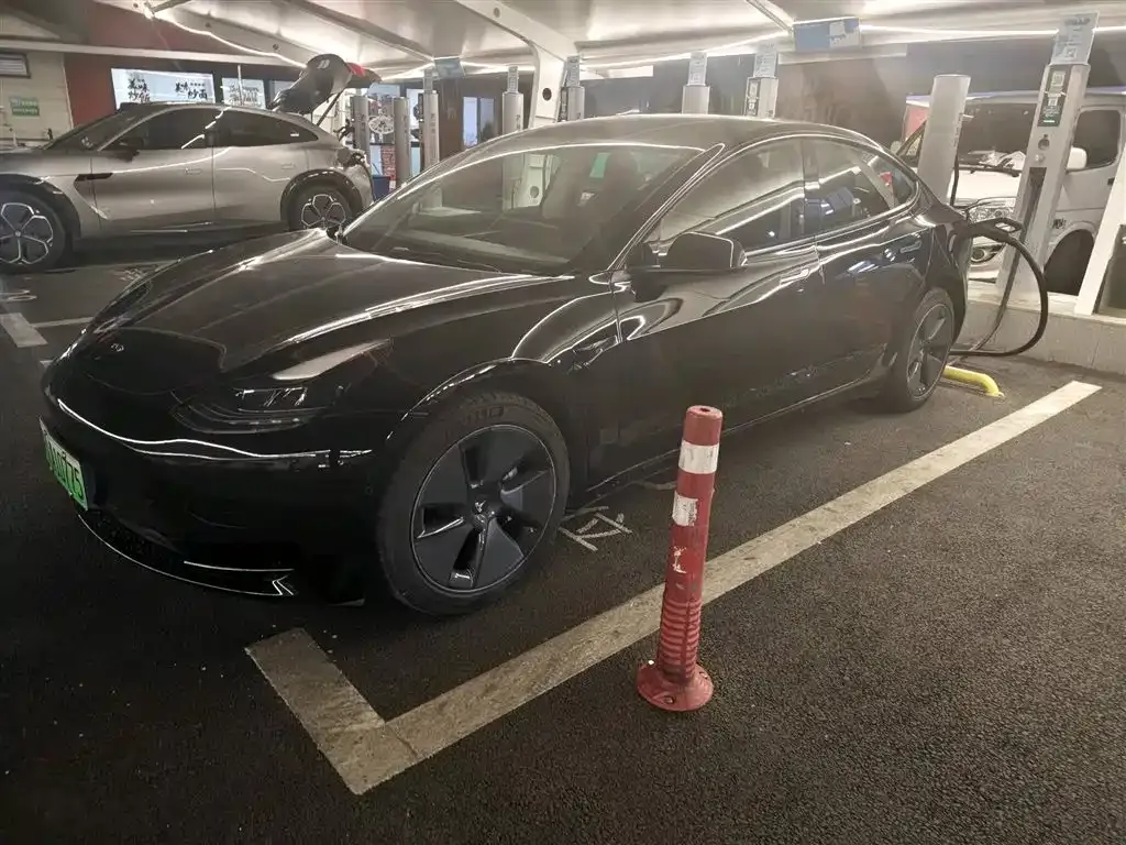 Tesla Model 3 2021 из CN, фото 1