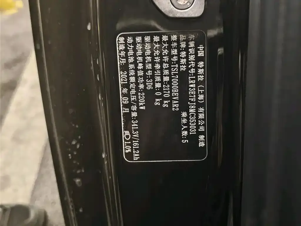 Tesla Model 3 2021 из CN, фото 4