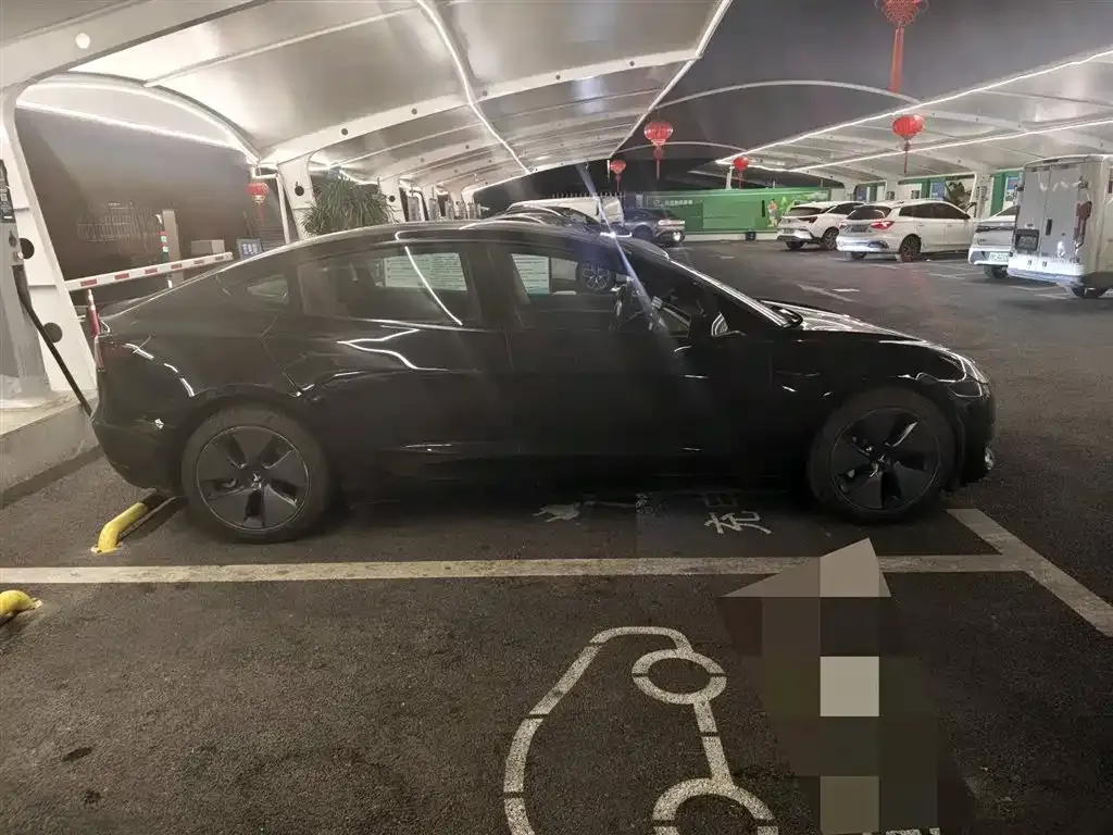 Tesla Model 3 2021 из CN, фото 5