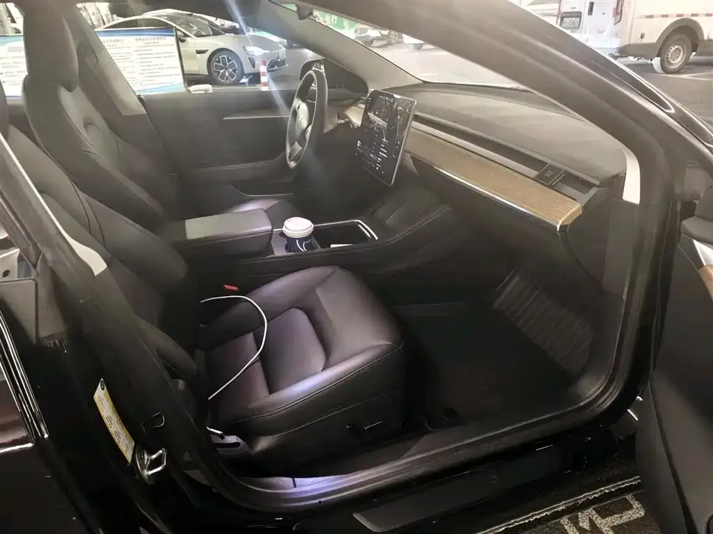 Tesla Model 3 2021 из CN, фото 3
