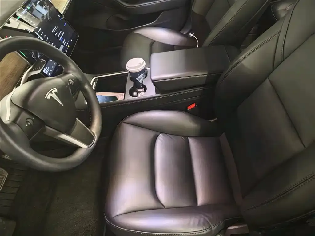 Tesla Model 3 2021 из CN, фото 9