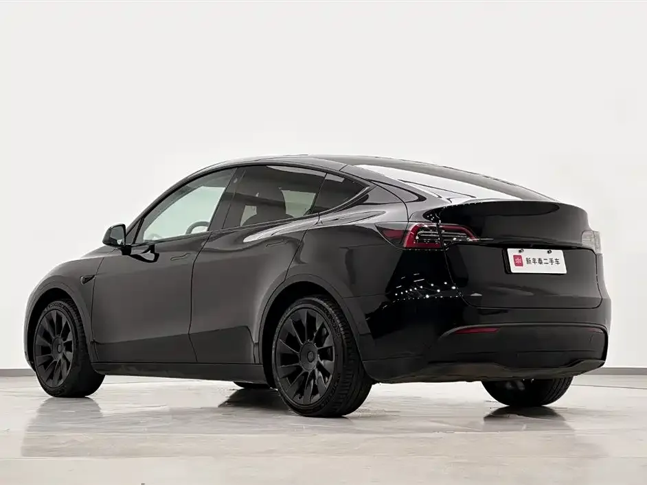 Tesla Model Y 2022 из CN, фото 6