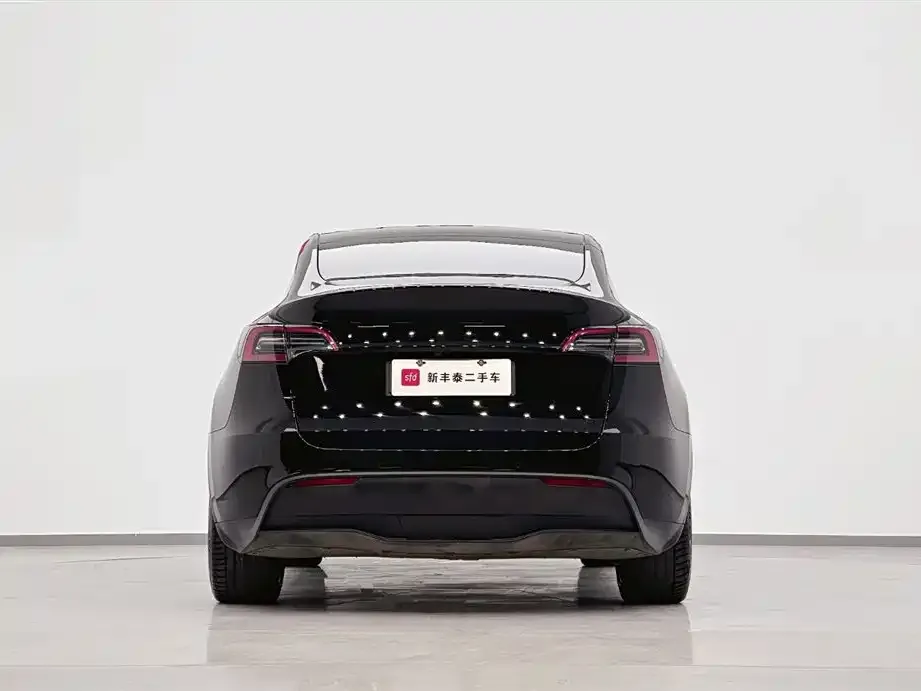 Tesla Model Y 2022 из CN, фото 7