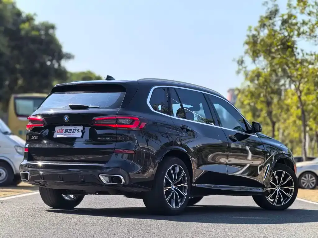 BMW X5 — фото 10