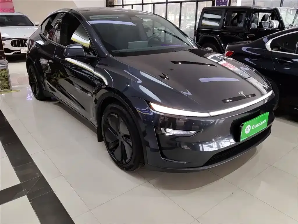 Tesla Model Y 2025 из CN, фото 2