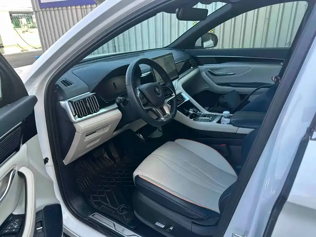 BYD PLUS New Energy 2023 из CN, фото 2
