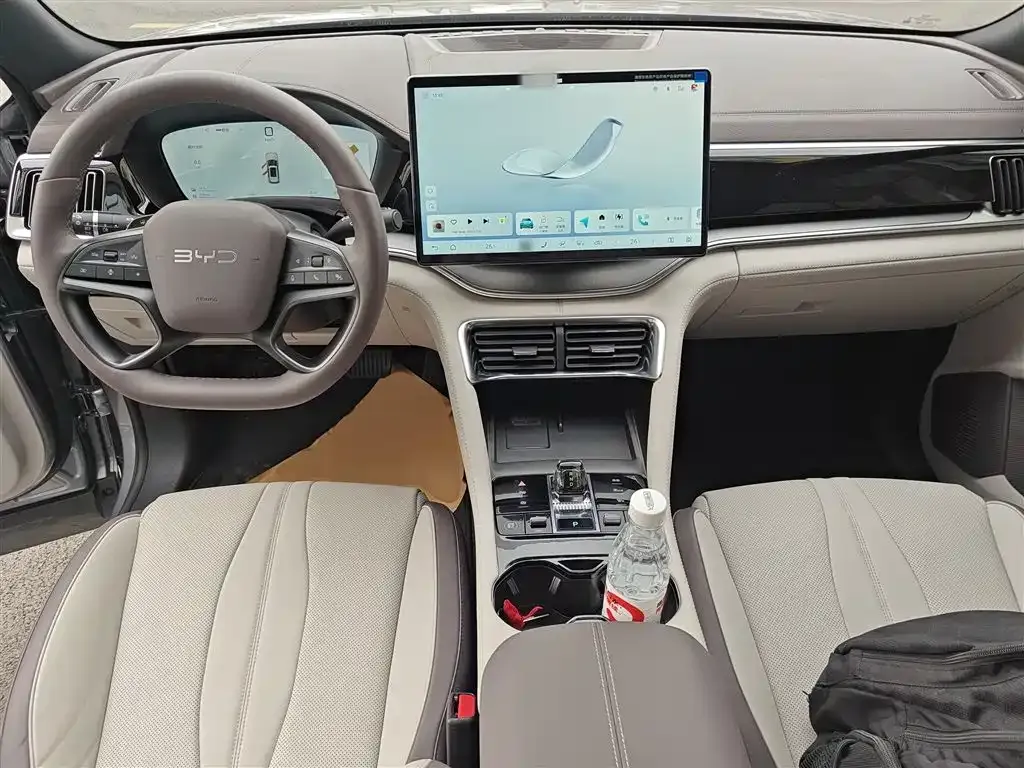 BYD PLUS New Energy 2025 из CN, фото 10