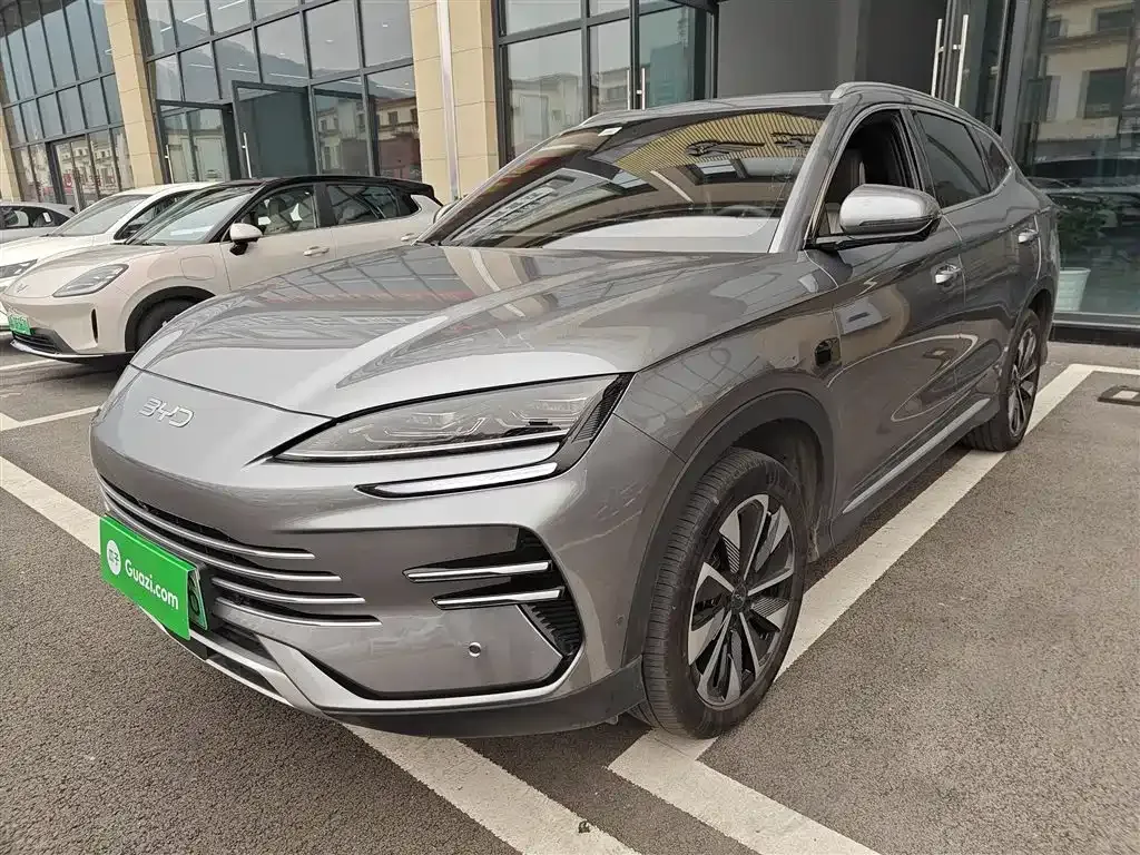 BYD PLUS New Energy 2025 из CN, фото 2