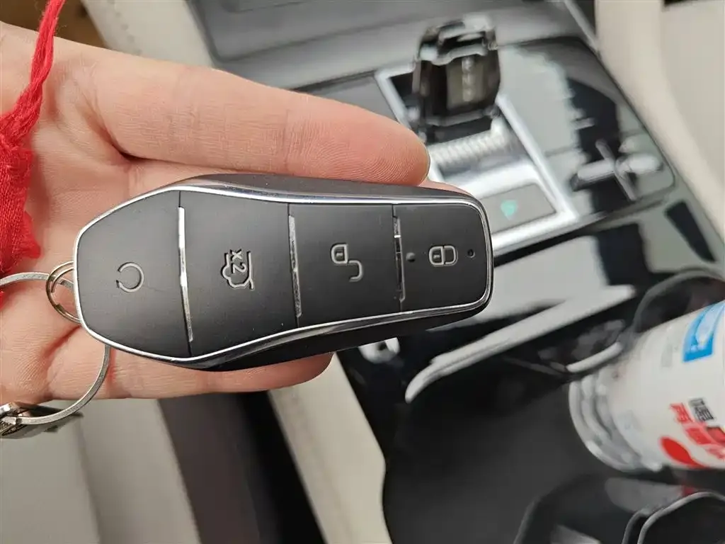 BYD PLUS New Energy 2025 из CN, фото 9