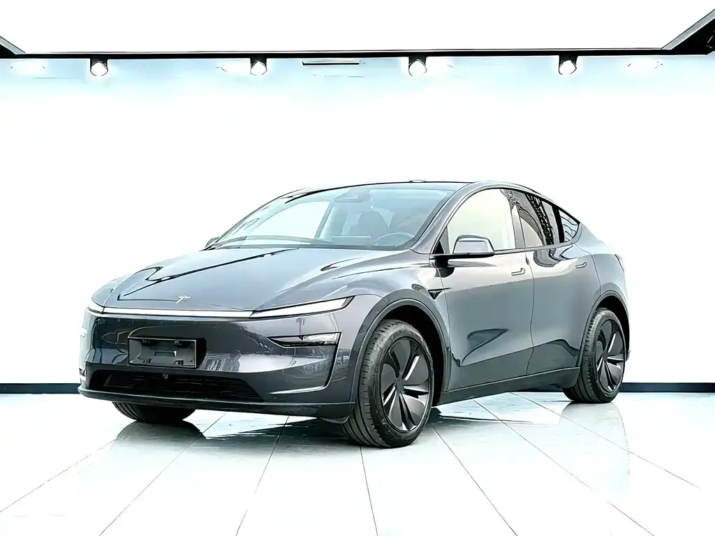 Tesla Model Y 2025 из CN, фото 1