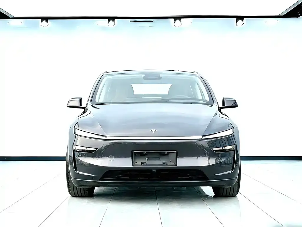 Tesla Model Y 2025 из CN, фото 2
