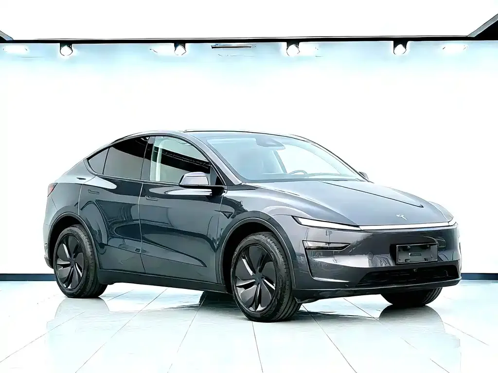 Tesla Model Y 2025 из CN, фото 4