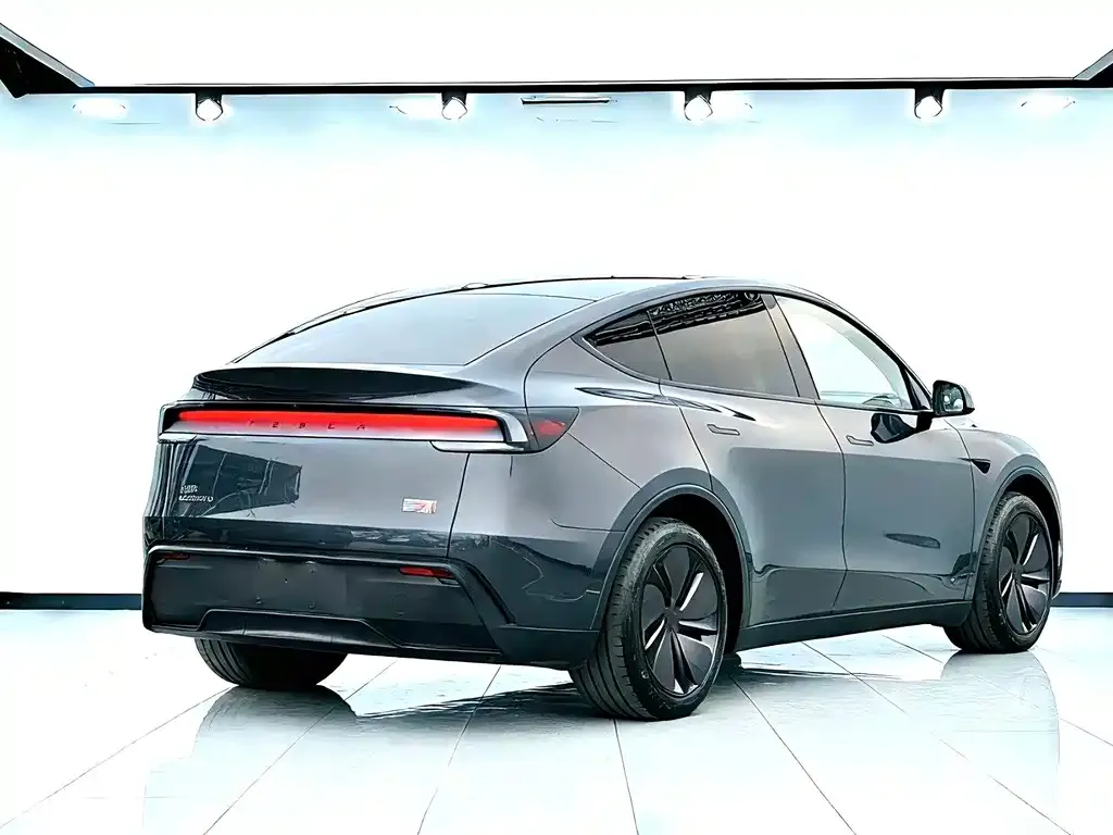 Tesla Model Y 2025 из CN, фото 6