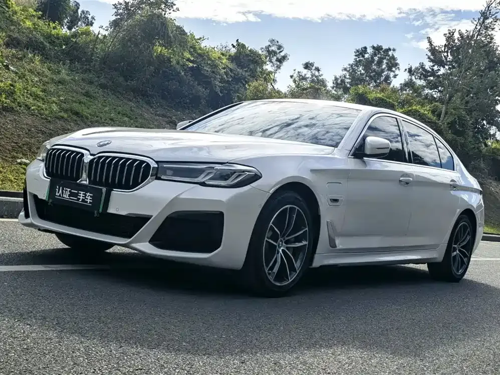 BMW 5 Series New Energy 2022 из CN, фото 1