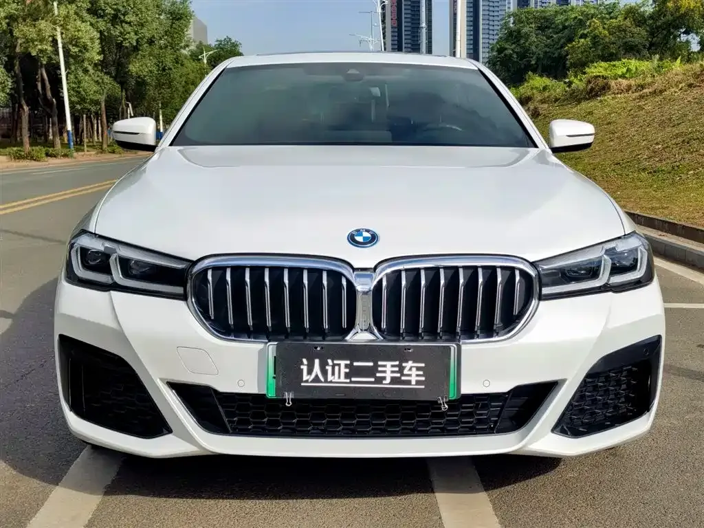 BMW 5 Series New Energy 2022 из CN, фото 6