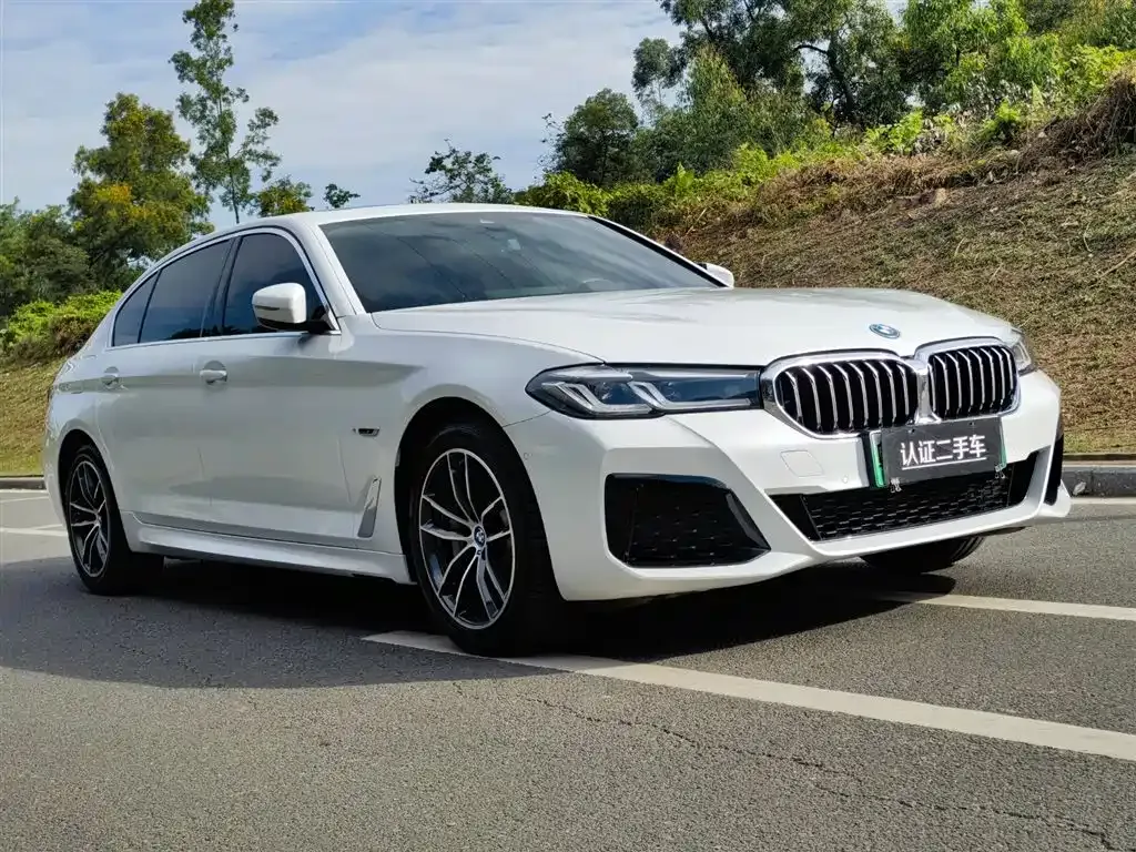BMW 5 Series New Energy 2022 из CN, фото 3
