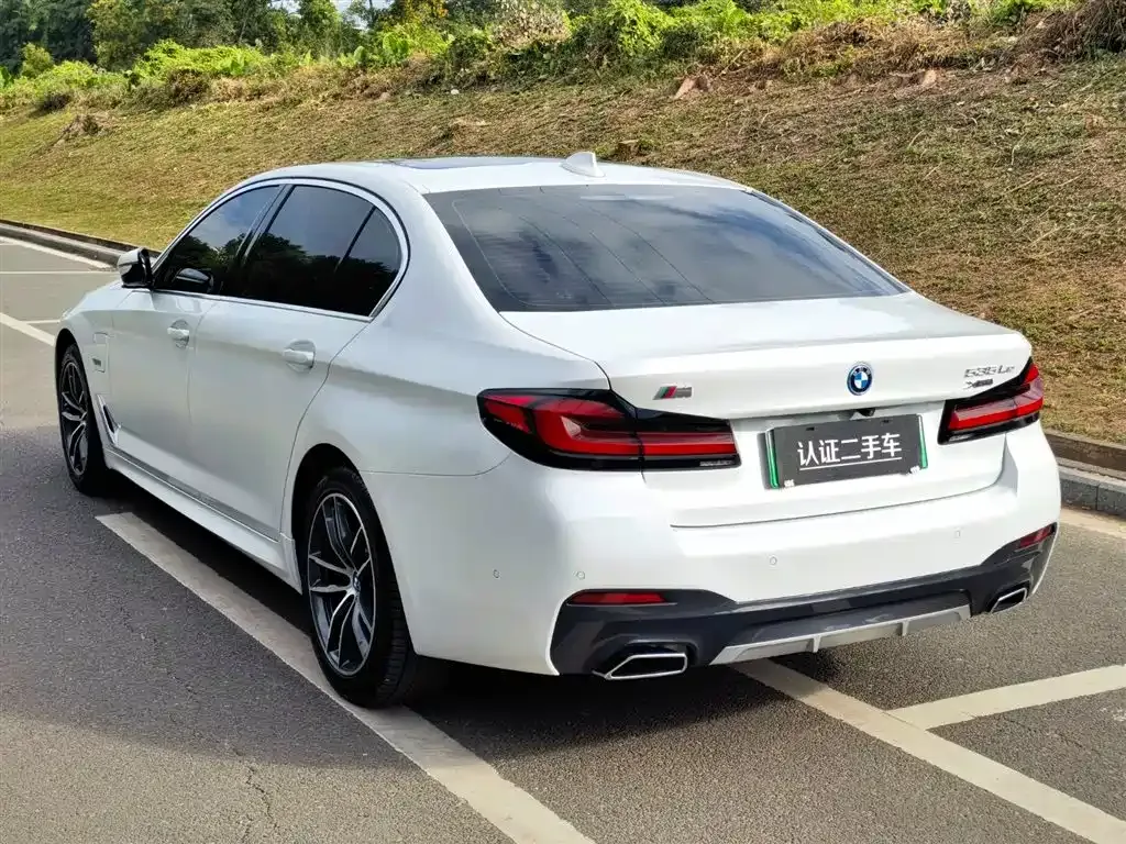 BMW 5 Series New Energy 2022 из CN, фото 9