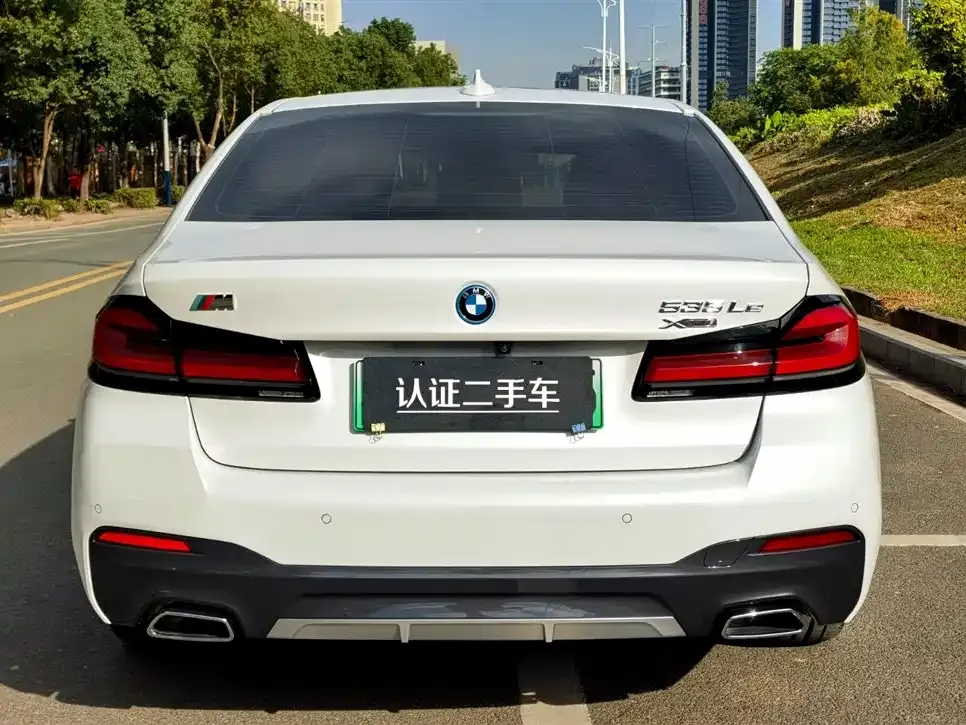 BMW 5 Series New Energy 2022 из CN, фото 5