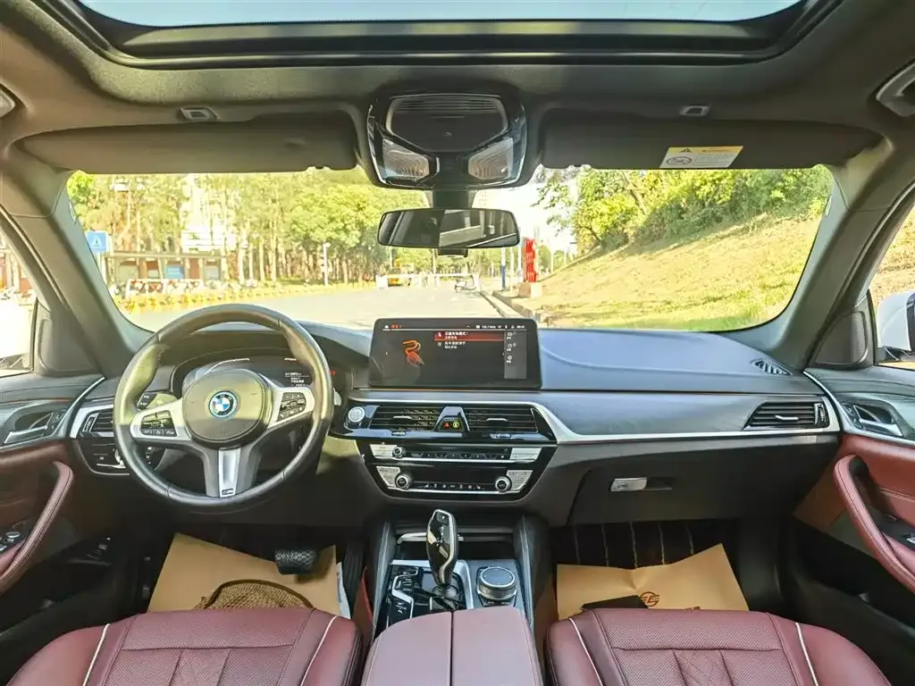 BMW 5 Series New Energy 2022 из CN, фото 8