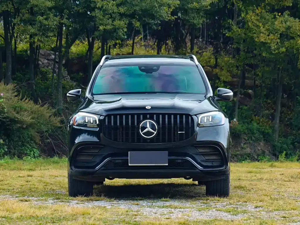 Mercedes-Benz GLS 2021 из CN, фото 8