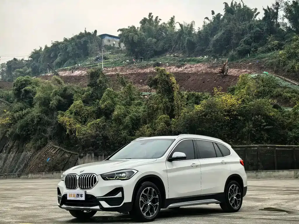 BMW X1 — фото 1