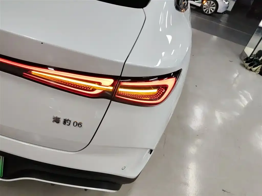 BYD Seal 06 2024 из CN, фото 7